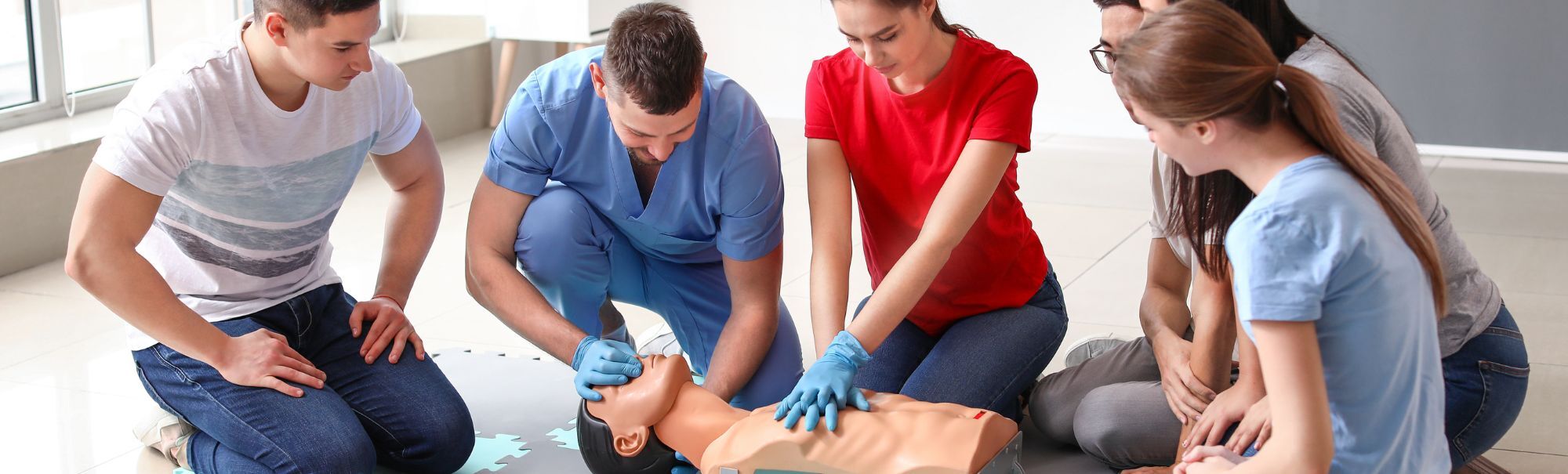 Red Cross Standard First Aid/CPR 